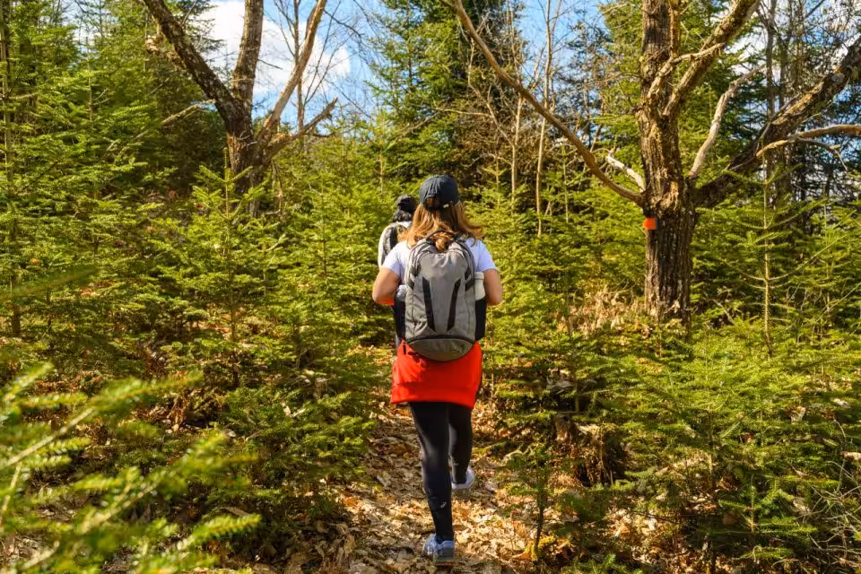 Two people wearing backpacks hike on a narrow forest trail surrounded by green trees and sunlight.